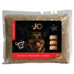 ForJO — Kanser Tedavisi Sürecindeki Köpekler İçin Bağışıklık Destekli Özel Beslenme Formülü