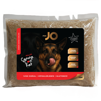 ForJO — Kanser Tedavisi Sürecindeki Köpekler İçin Bağışıklık Destekli Özel Beslenme Formülü